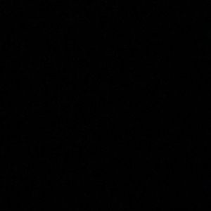 Meet your Posher, Bobby